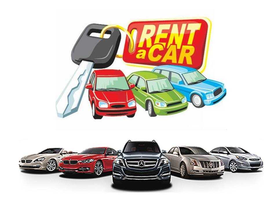 Ayancık Rent A Car